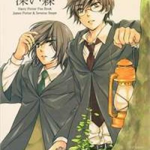 Harry Potter Doujinshi - The World 2