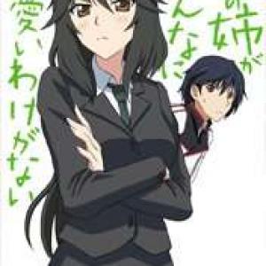 Infinite Stratos Doujinshi- My Older Sister can't be this overprotective