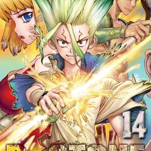 Dr. Stone