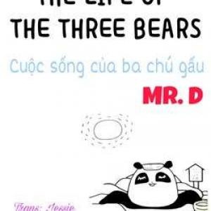 The life of the three bears