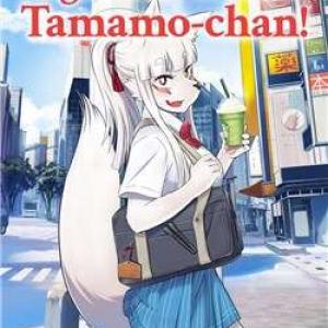High school Inari Tamamo-chan !