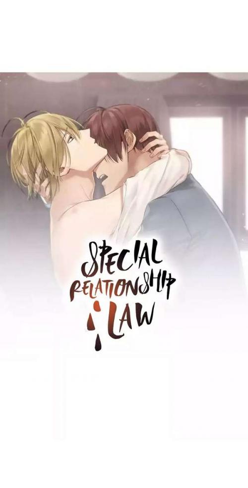 truyện tranh Special Relationshop Law