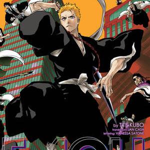 Bleach New Special One-Shot!