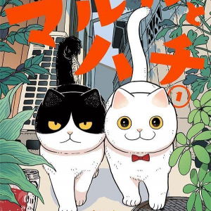 Đôi mèo song hành - Maruru và Hachi