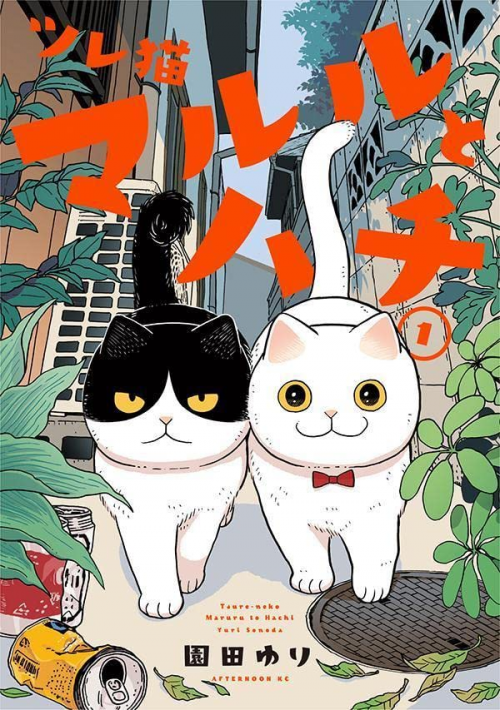 truyện tranh Đôi mèo song hành - Maruru và Hachi