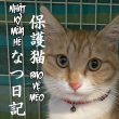 truyện tranh Nhật Ký Mùa Hè Bảo Vệ Mèo