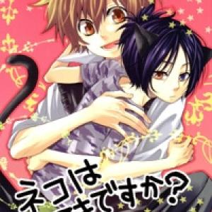 KHR Doujinshi - Do You Love Kitty