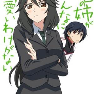 Infinite Stratos Doujinshi- My Older Sister can be this overprotective