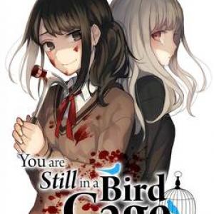 You Are Still In A Bird Cage