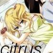 truyện tranh Citrus (Saburouta) - Update Chap 42: Đi dự đám cưới Yuzu & Mei