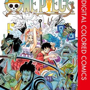 One Piece Color