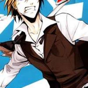 Durarara!! - Dollars/Mika Harima Arc