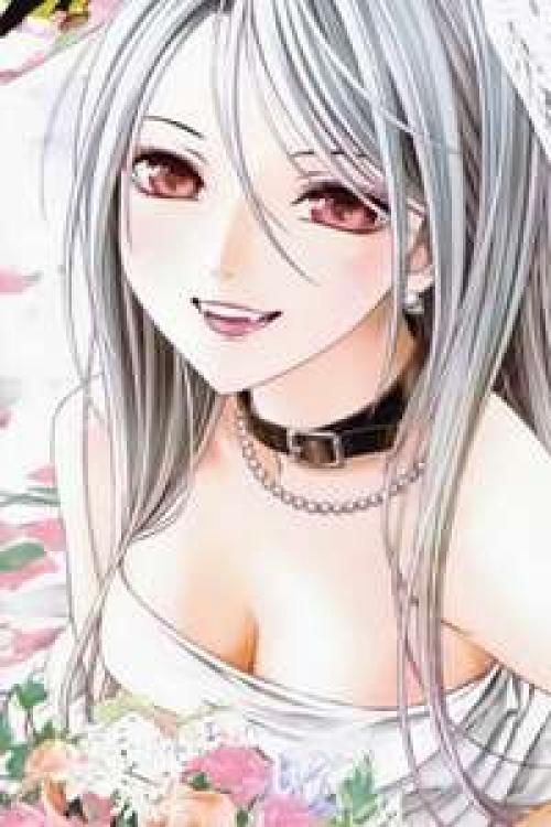 Rosario + Vampire After Story