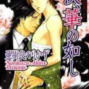 Kyou, Hana No Gotoshi