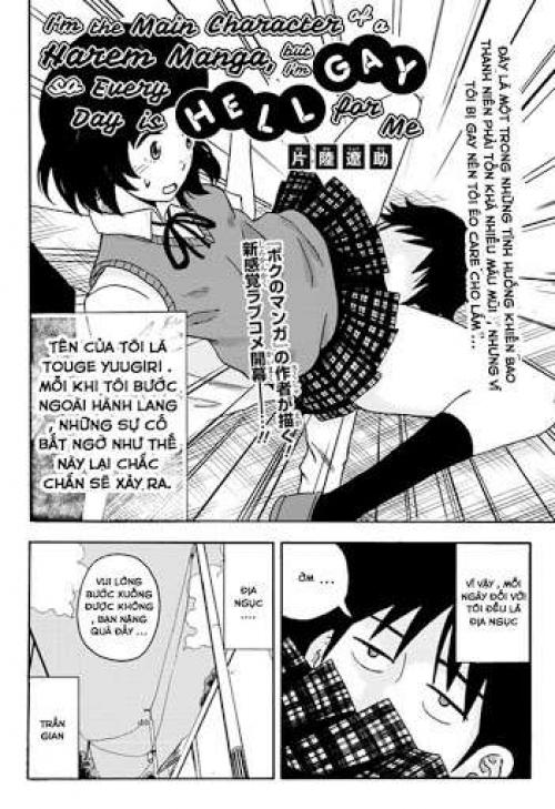 truyện tranh Harem Manga no Shujinkou da ga Douseiaisha nanode Mainichi ga Tsurai
